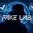 FAKELAB